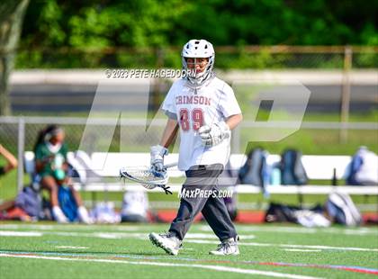 Thumbnail 3 in Montville @ Morristown Beard photogallery.