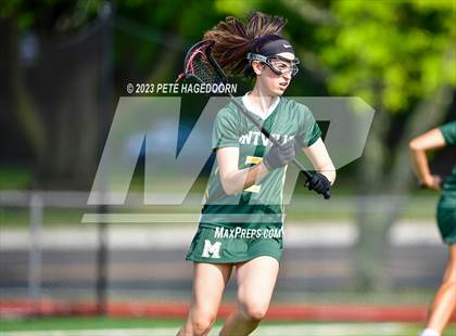 Thumbnail 3 in Montville @ Morristown Beard photogallery.