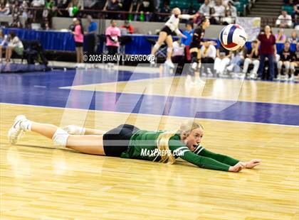 Thumbnail 2 in Fossil Ridge vs. Pine Creek (CHSAA 5A Round 2) photogallery.