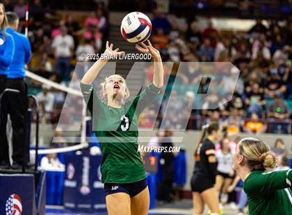 Thumbnail 3 in Fossil Ridge vs. Pine Creek (CHSAA 5A Round 2) photogallery.