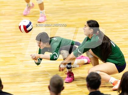 Thumbnail 1 in Fossil Ridge vs. Pine Creek (CHSAA 5A Round 2) photogallery.