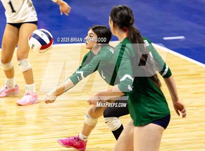 Thumbnail 1 in Fossil Ridge vs. Pine Creek (CHSAA 5A Round 2) photogallery.