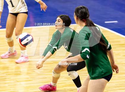Thumbnail 2 in Fossil Ridge vs. Pine Creek (CHSAA 5A Round 2) photogallery.