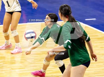 Thumbnail 3 in Fossil Ridge vs. Pine Creek (CHSAA 5A Round 2) photogallery.