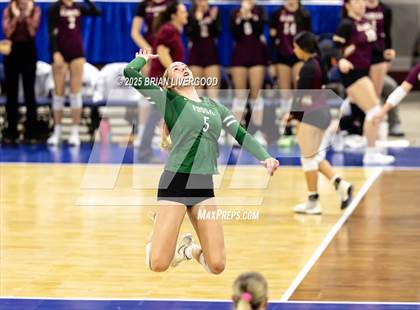 Thumbnail 2 in Fossil Ridge vs. Pine Creek (CHSAA 5A Round 2) photogallery.