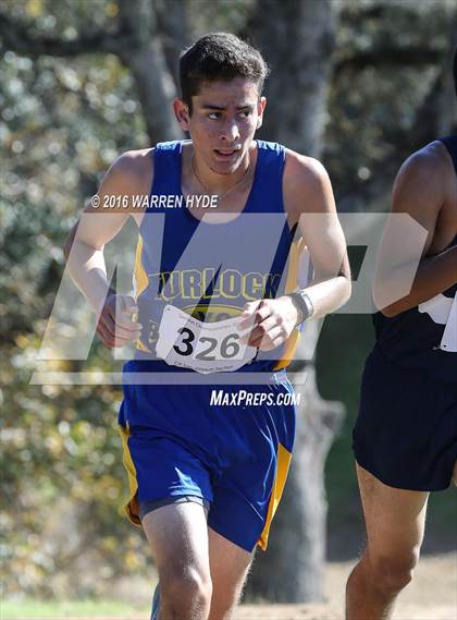 Thumbnail 2 in CIF SJS Cross Country Championships (D1 Boys) photogallery.