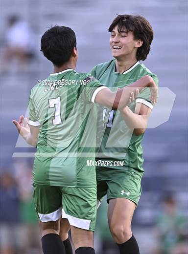null - Photo 01
