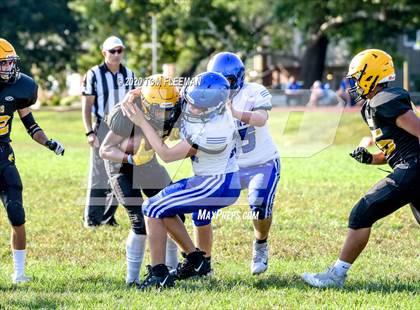 Thumbnail 1 in Olathe Northwest @ Shawnee Mission West photogallery.
