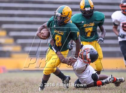 Thumbnail 1 in JV: DuVal @ Parkdale photogallery.