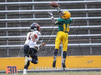 Thumbnail 3 in DuVal @ Parkdale photogallery.