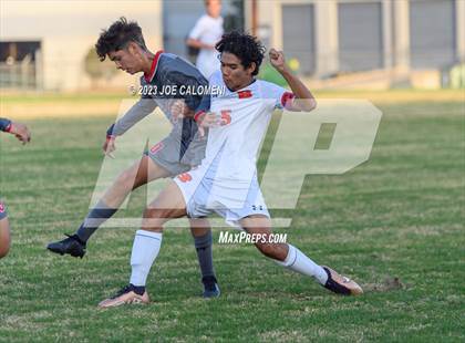 Thumbnail 3 in Brandeis vs Lee photogallery.