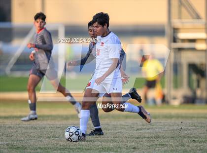 Thumbnail 1 in Brandeis vs Lee photogallery.