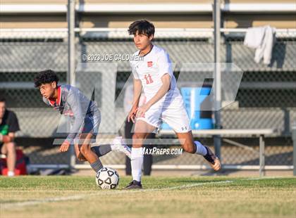 Thumbnail 1 in Brandeis vs Lee photogallery.