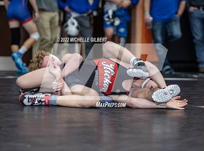 Thumbnail 1 in PIAA AA Regional State Qualifier Wrestlebacks and Semifinals photogallery.