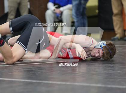 Thumbnail 2 in PIAA AA Regional State Qualifier Wrestlebacks and Semifinals photogallery.