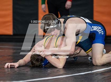 Thumbnail 3 in PIAA AA Regional State Qualifier Wrestlebacks and Semifinals photogallery.
