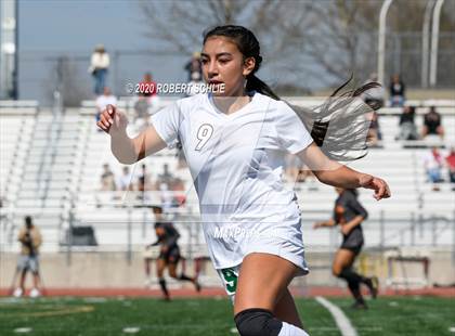 Thumbnail 3 in St. Francis vs. Ponderosa (CIF SJS D2 Final) photogallery.