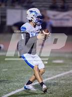 Photo from the gallery "Wheatland @ Oakmont"