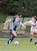 Photo from the gallery "Stamford @ Wilton"