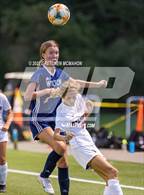 Photo from the gallery "Stamford @ Wilton"
