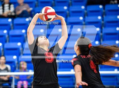Thumbnail 3 in Clark vs. Stevens photogallery.