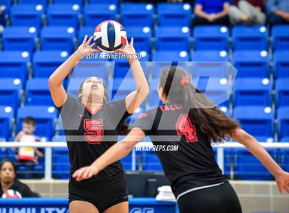 Thumbnail 1 in Clark vs. Stevens photogallery.
