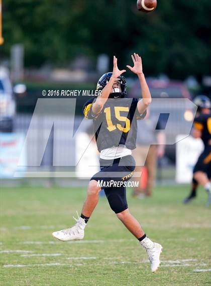 Thumbnail 2 in Berryville @ Prairie Grove photogallery.