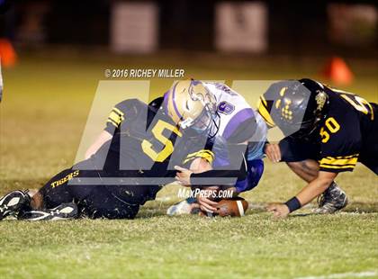 Thumbnail 1 in Berryville @ Prairie Grove photogallery.