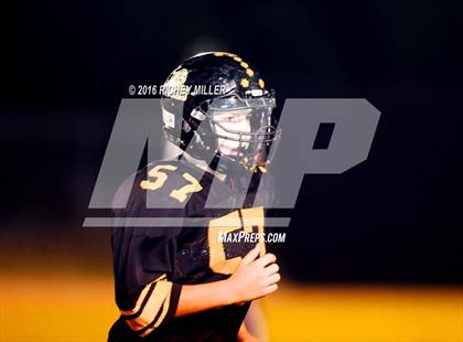 Thumbnail 2 in Berryville @ Prairie Grove photogallery.