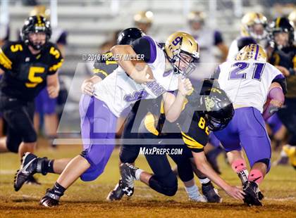 Thumbnail 3 in Berryville @ Prairie Grove photogallery.