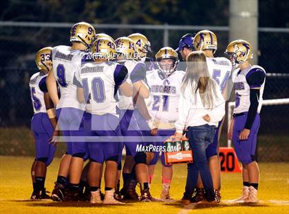 Thumbnail 1 in Berryville @ Prairie Grove photogallery.