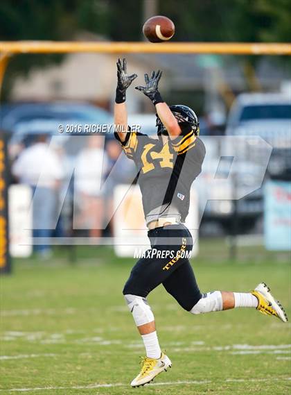 Thumbnail 2 in Berryville @ Prairie Grove photogallery.