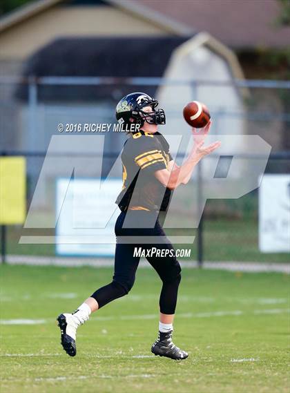 Thumbnail 3 in Berryville @ Prairie Grove photogallery.