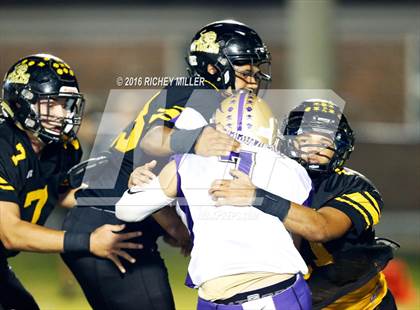 Thumbnail 3 in Berryville @ Prairie Grove photogallery.