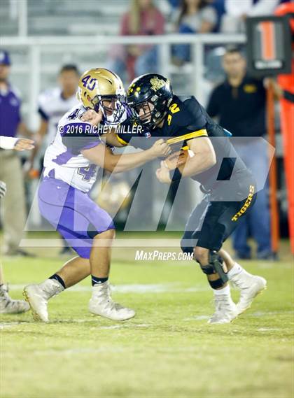 Thumbnail 3 in Berryville @ Prairie Grove photogallery.
