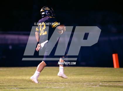 Thumbnail 1 in Berryville @ Prairie Grove photogallery.