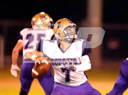 Thumbnail 2 in Berryville @ Prairie Grove photogallery.