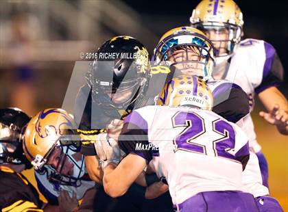 Thumbnail 2 in Berryville @ Prairie Grove photogallery.