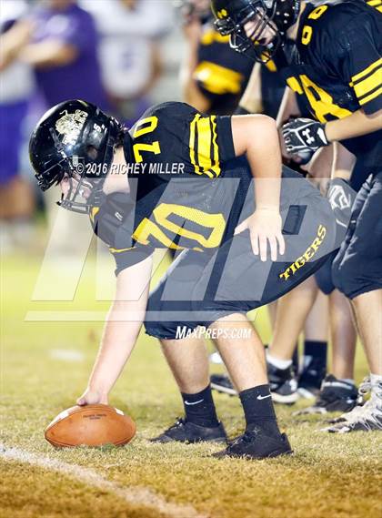 Thumbnail 3 in Berryville @ Prairie Grove photogallery.
