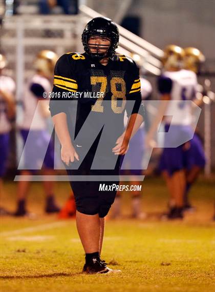 Thumbnail 3 in Berryville @ Prairie Grove photogallery.