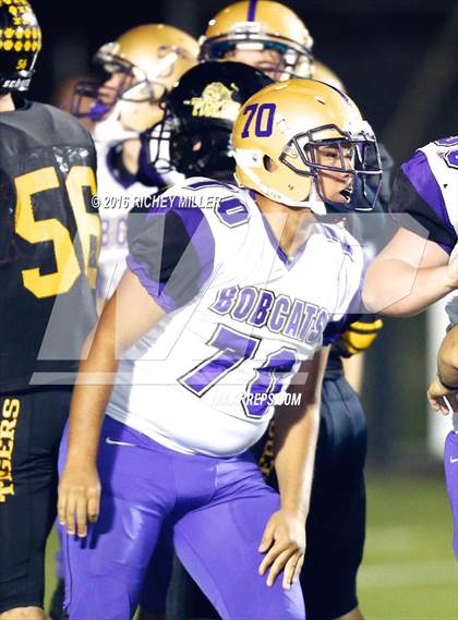 Thumbnail 3 in Berryville @ Prairie Grove photogallery.