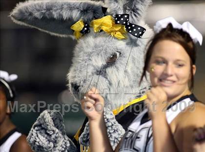 Thumbnail 2 in Sachse @ Forney photogallery.