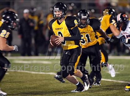 Thumbnail 2 in Sachse @ Forney photogallery.