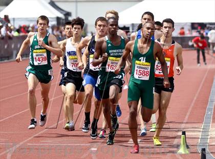 Thumbnail 3 in Arcadia Invitational (800 M Run) photogallery.