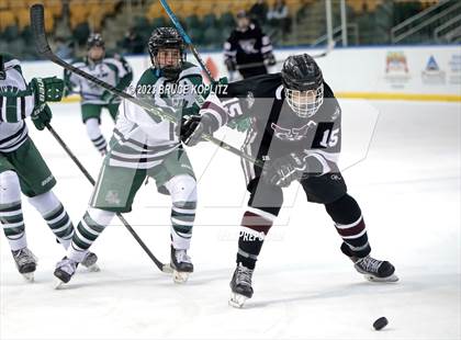 Thumbnail 1 in Verona/Glen Ridge vs Livingston photogallery.