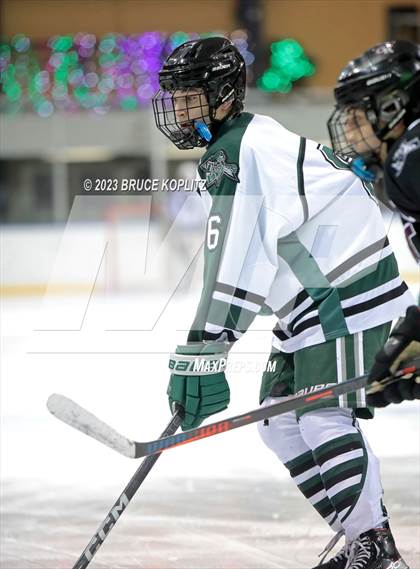 Thumbnail 2 in Verona/Glen Ridge vs Livingston photogallery.