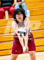 Photo from the gallery "Monterey Trail @ Laguna Creek"