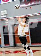 Photo from the gallery "Monterey Trail @ Laguna Creek"