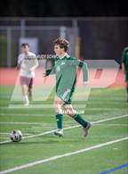 Photo from the gallery "Calexico @ Poway"