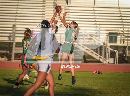 Thumbnail 3 in Queen Creek @ Basha photogallery.